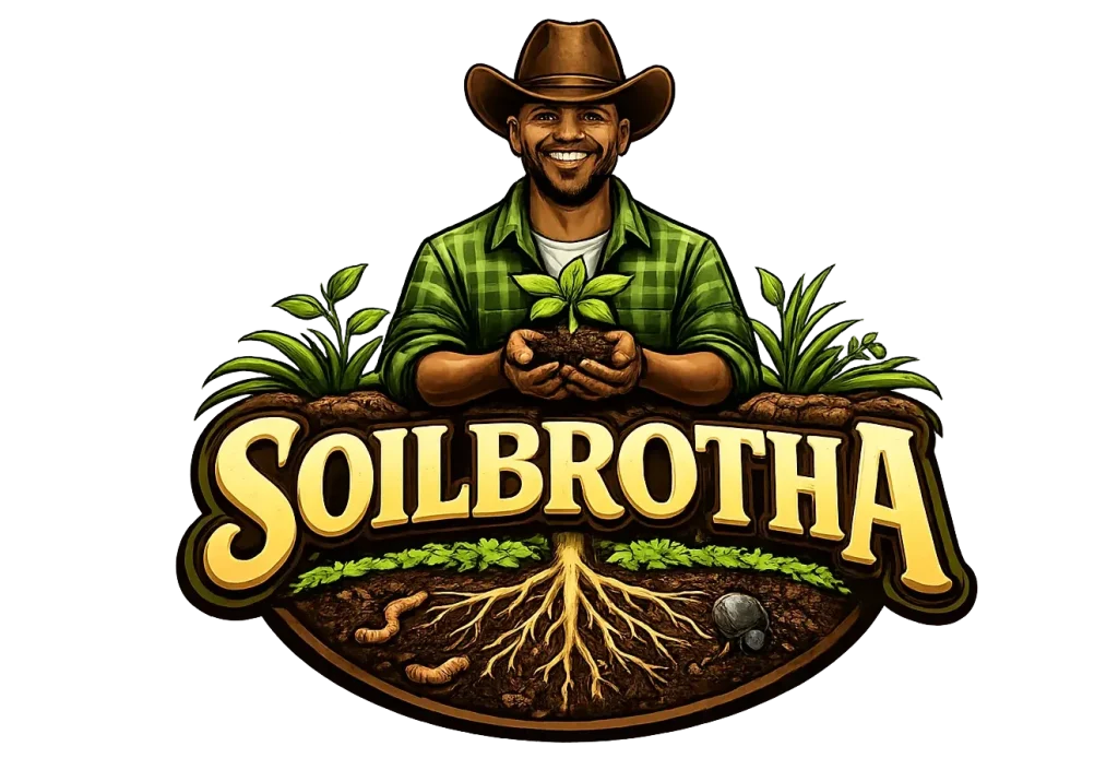 cropped chatgpt image jan 14 2026 03 36 35 pm.webp